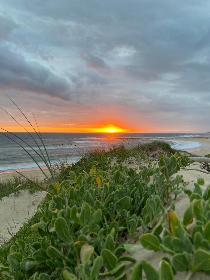 Soutelande Country Stay - Close To 1#Beach In Pe Port Elizabeth Eksteriør bilde