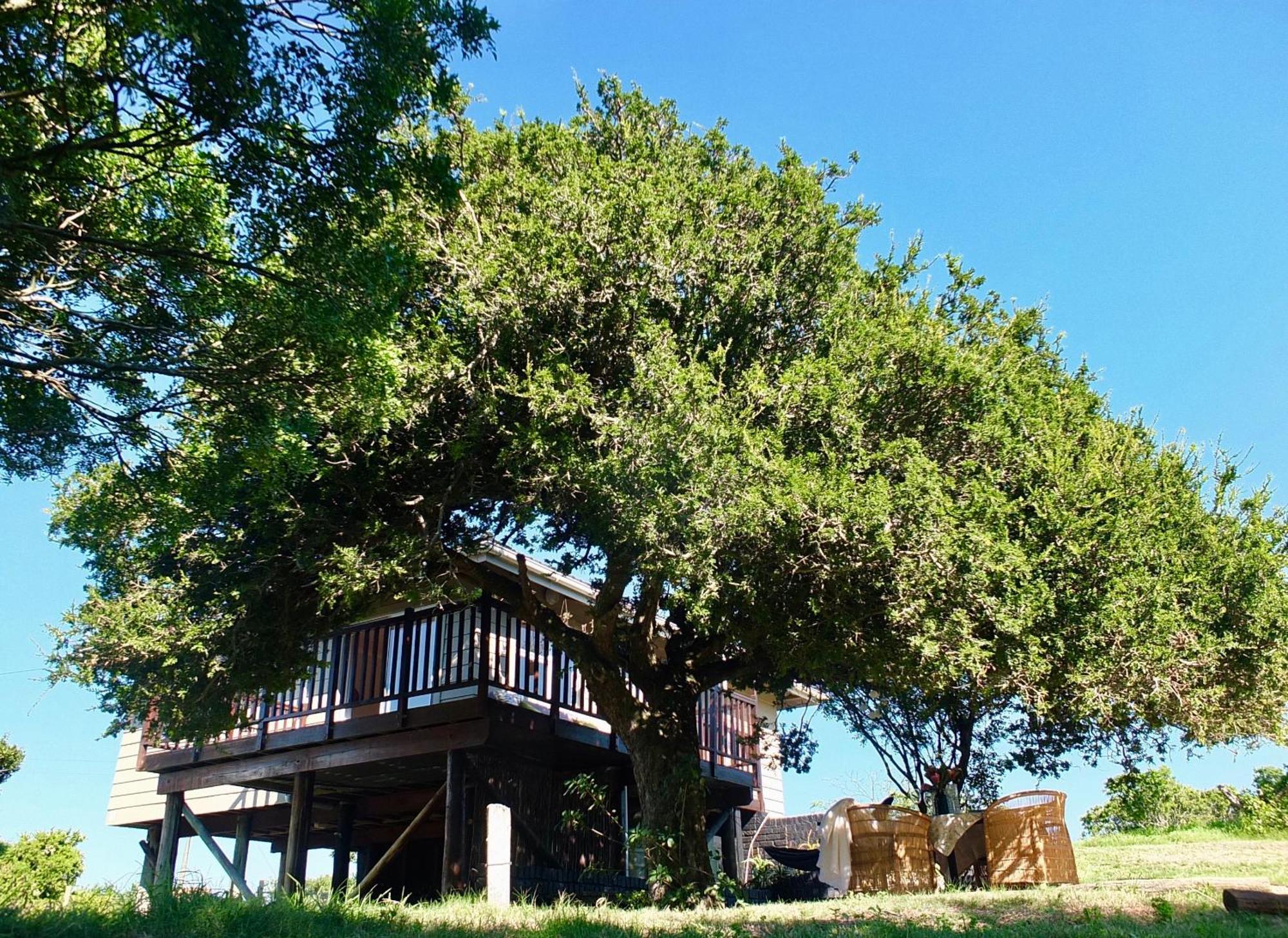Soutelande Country Stay - Close To 1#Beach In Pe Port Elizabeth Eksteriør bilde