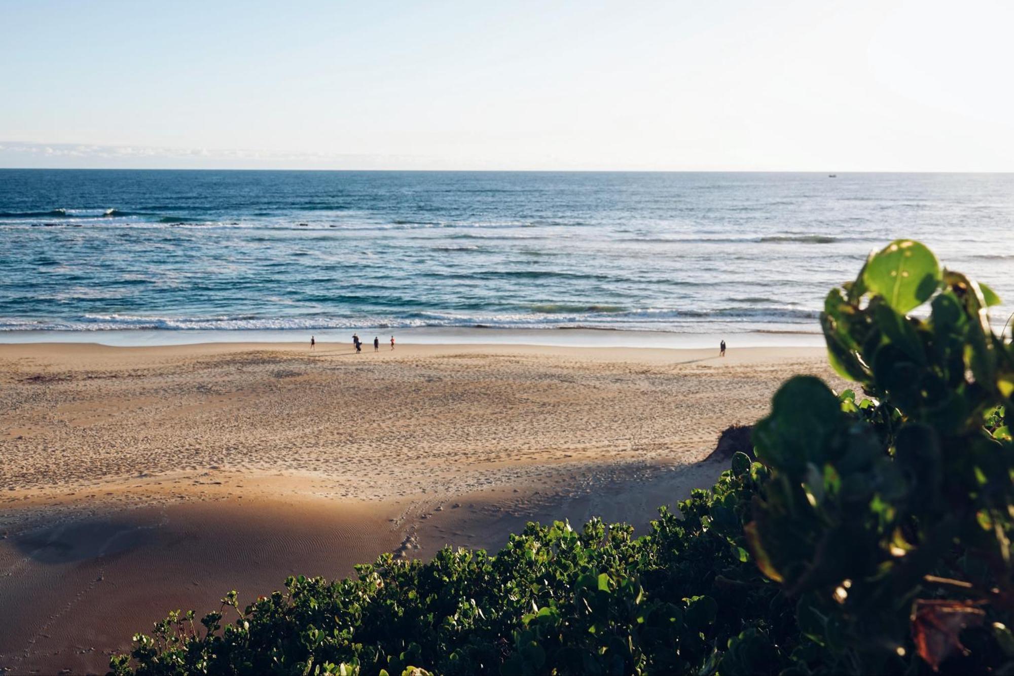 Soutelande Country Stay - Close To 1#Beach In Pe Port Elizabeth Eksteriør bilde